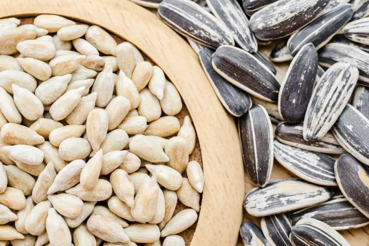 مضرات تخمه آفتابگردان برای مردان