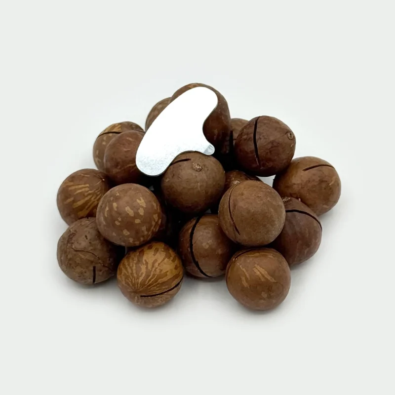 ماکادمیا - Image 3