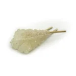 نبات سفید شاخه ای - Image 2