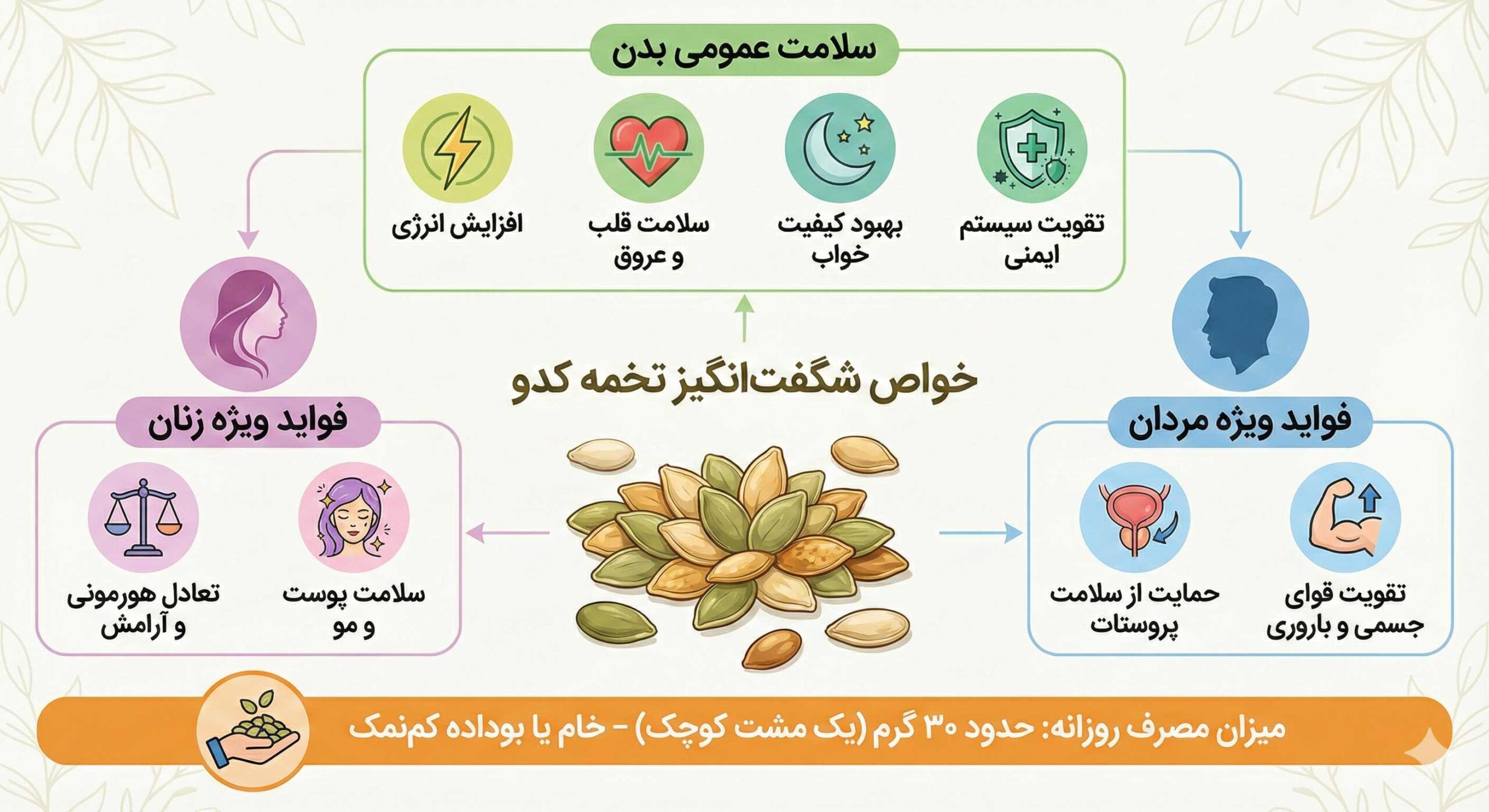 فواید تخمه کدو برای بدن