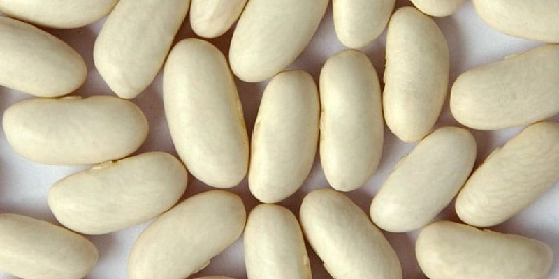 خواص لوبیا رشتی 