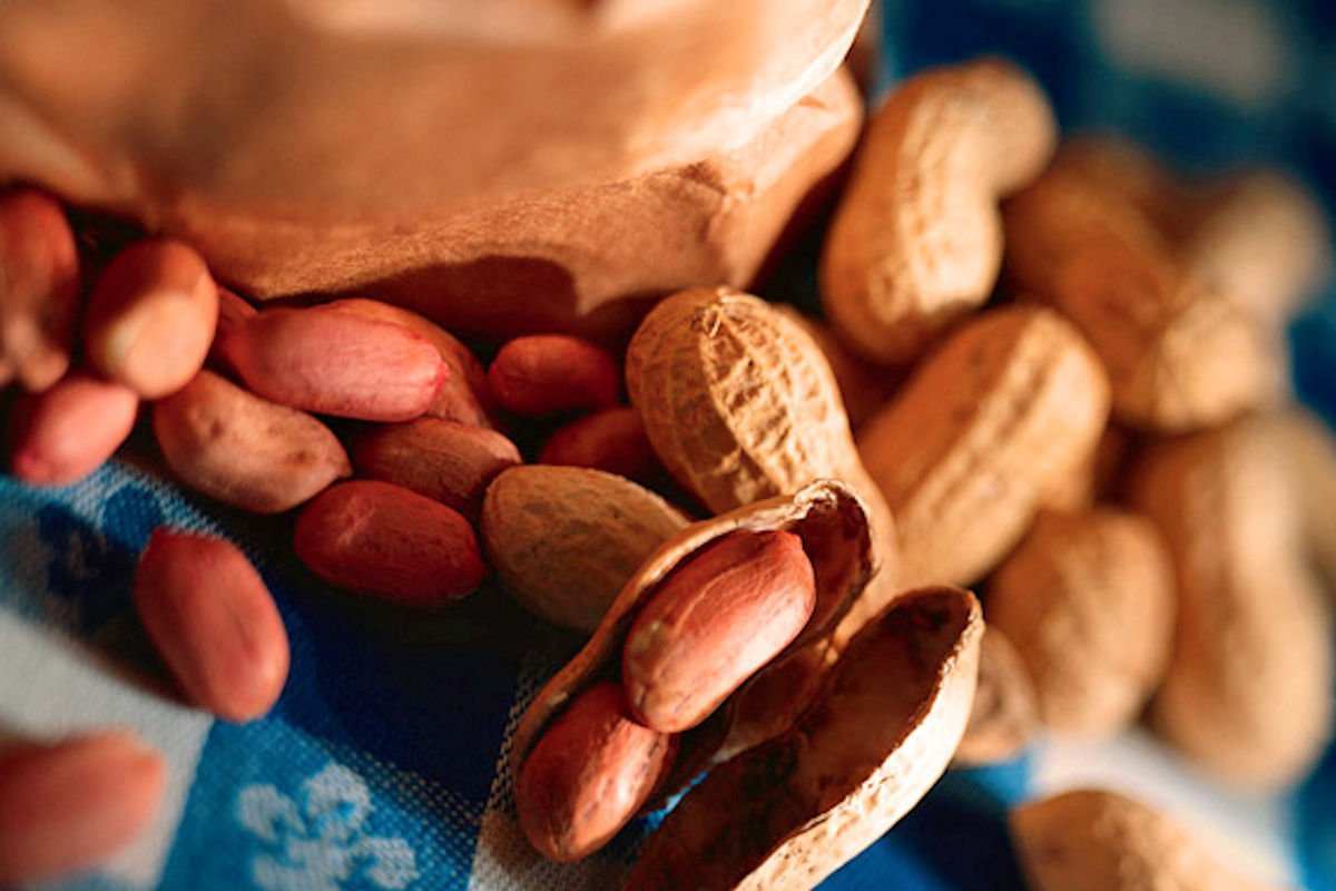 بهترین بادام زمینی