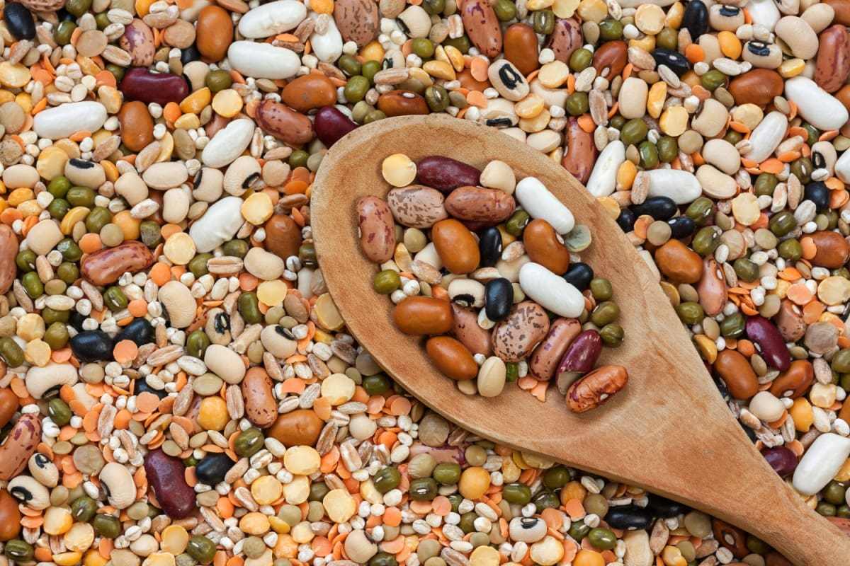 خرید حبوبات باکیفیت