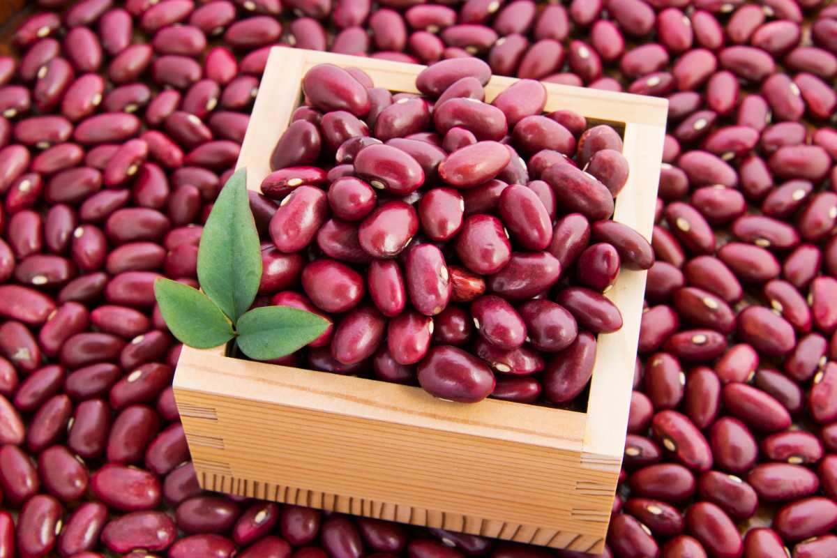 فواید لوبیا قرمز