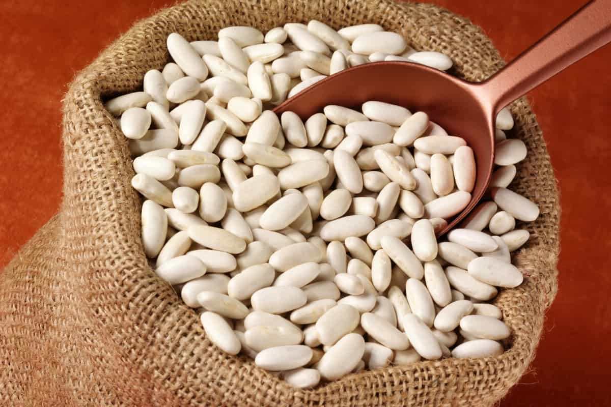 لوبیا رشته چیه