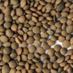 آیا عدس برای همه خوب خوبه؟ بررسی کامل مضرات عدس