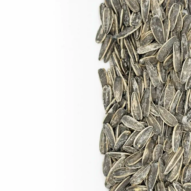 تخمه دور سفید ممتاز - Image 4