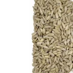 مغز تخمه آفتابگردان 180 گرمی - Image 4
