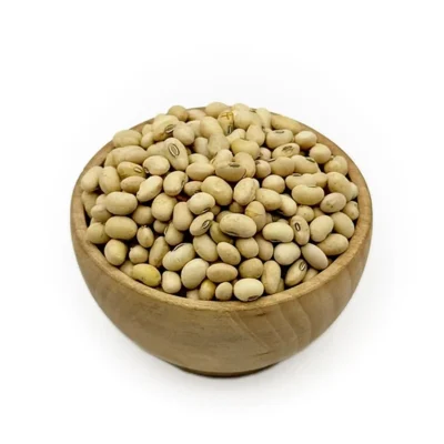 سویا آجیلی