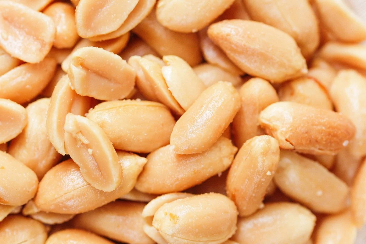 نگهداری بادام زمینی