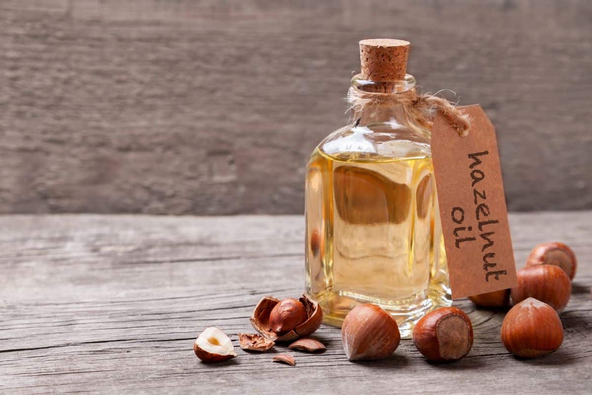 روغن فندق چیه